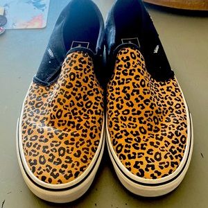 Cheetah Vans